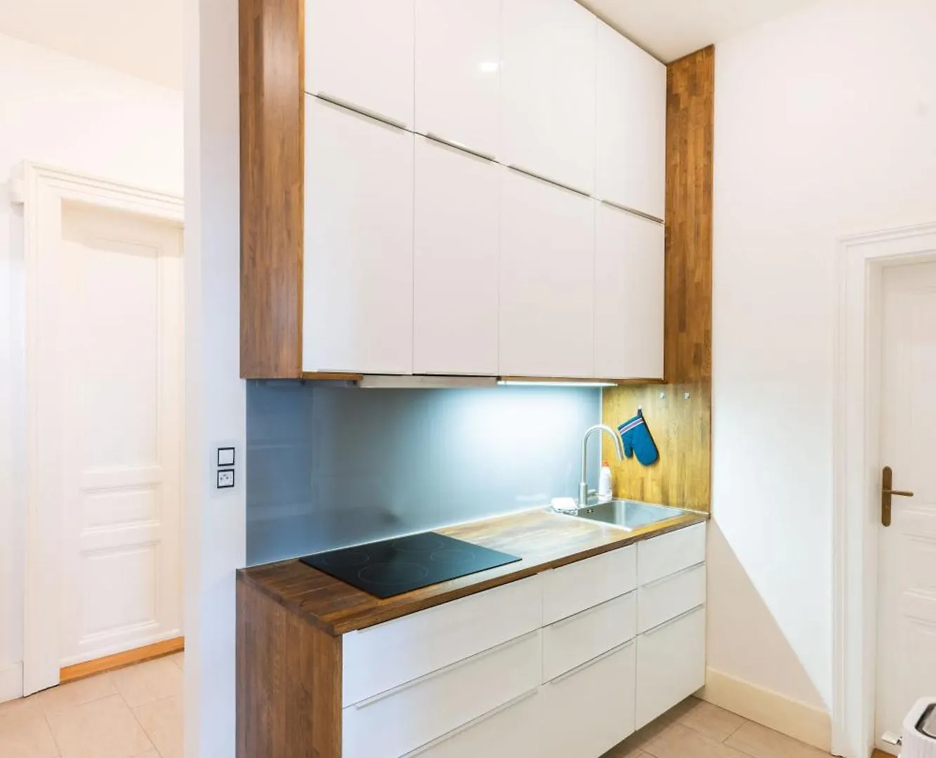 Apartment Manes Praga 0*,